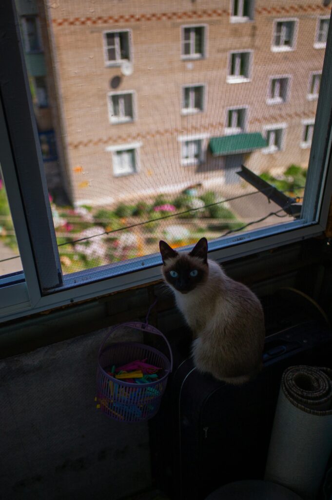 Willow Cherry Privacy